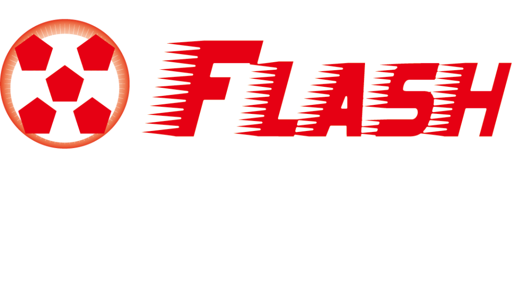 Logo for Flash